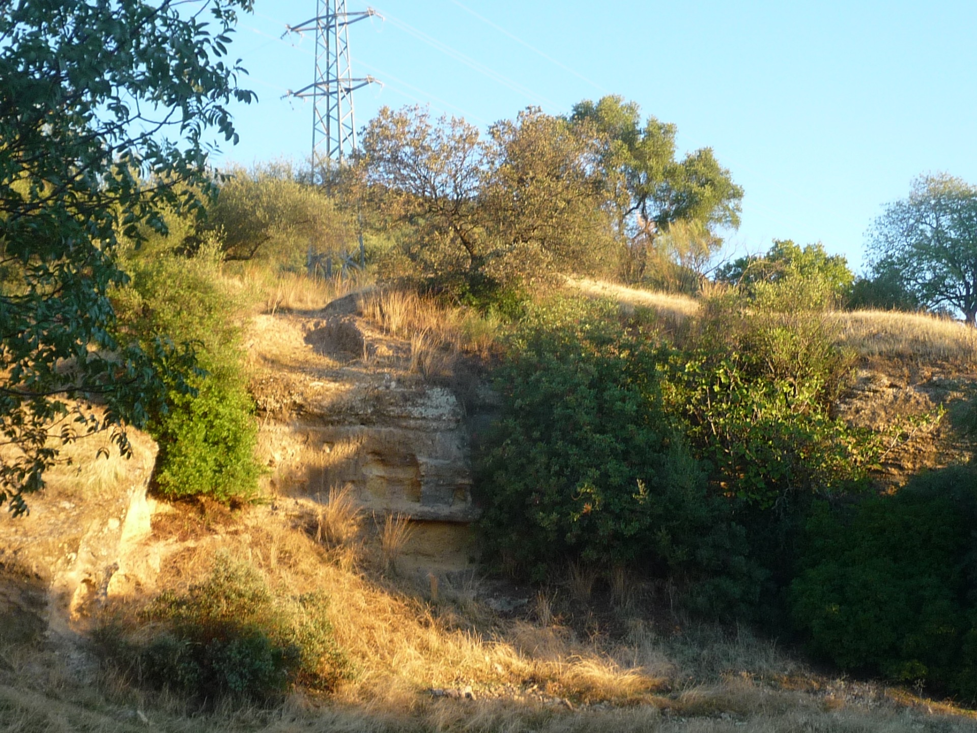 Cantera árabe (Patriarca)