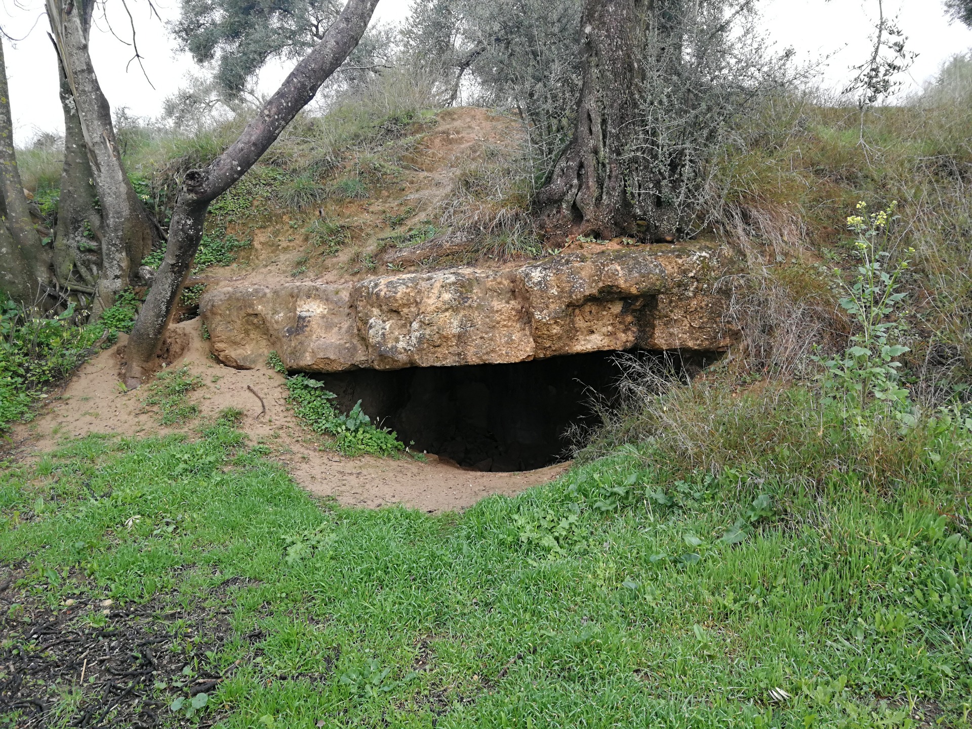 Cantera romana (Patriarca)